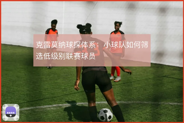 克雷莫纳球探体系：小球队如何筛选低级别联赛球员